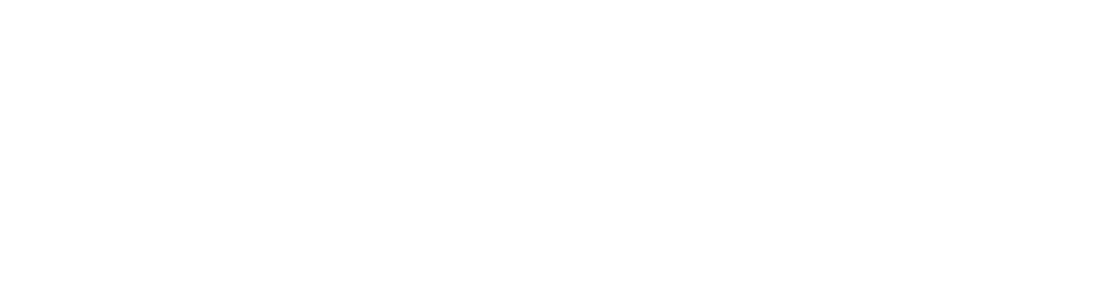 加拿大簽證王大logo (白) 0